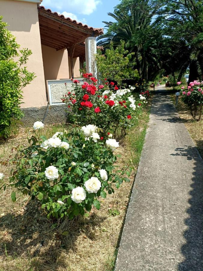 Oasis Studios Skala Kallonis Zewnętrze zdjęcie